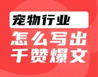 APP干货铺子