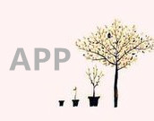 APP干货铺子